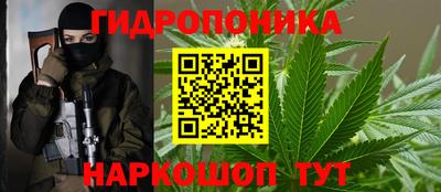кокс Дубна