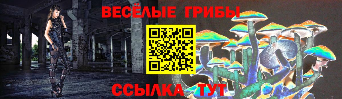 Псилоцибиновые грибы MAGIC MUSHROOMS Лосино-Петровский