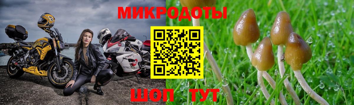 Лосино-Петровский  Галлюциногенные грибы Psilocybe  Вход с VPN 